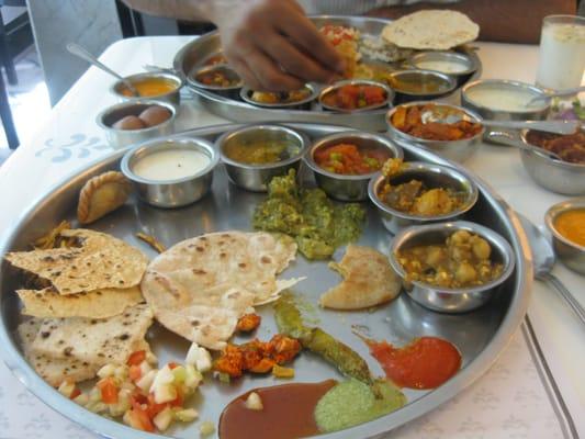 photo of Aardvark K.