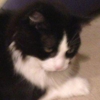 photo of Kingsley T.