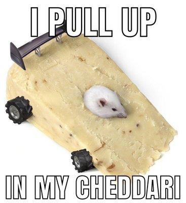 photo of Bulbasaur G.