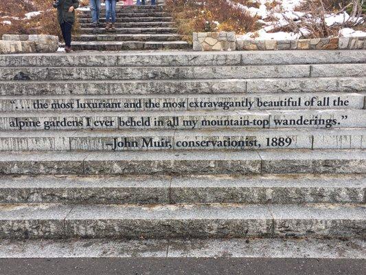 photo of Meconium A.