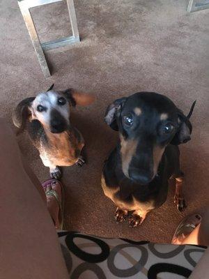 Photo of Patricia E.