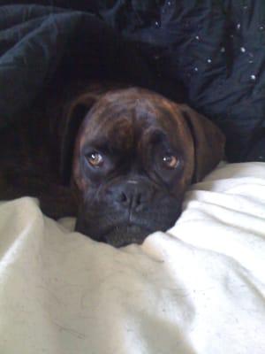 photo of Christian S.