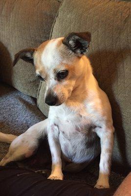 photo of Susan B. G.