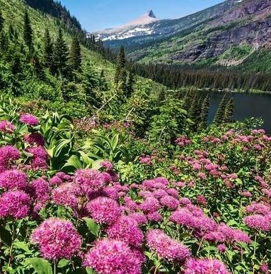 photo of Ineedsun 1.