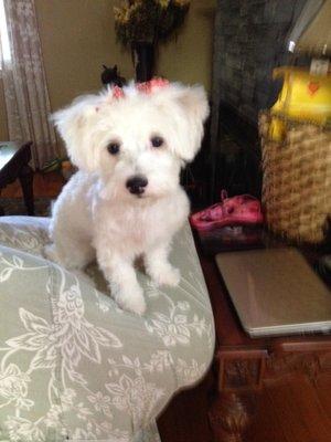 Photo of Darlene C.