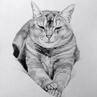 photo of Jennifer B.