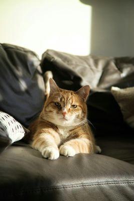 Photo of Candace J.
