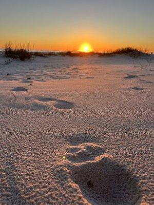 photo of Stephanie S.