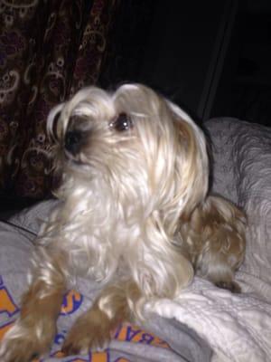 Photo of Stephanie P.