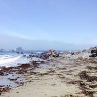 photo of christine c.