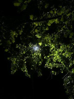 photo of Christopher O.