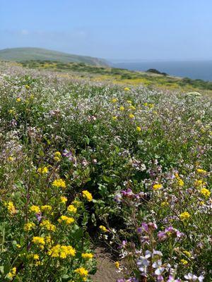 photo of Marjorie H.