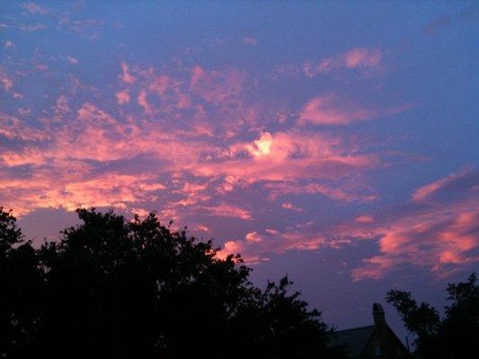 Photo of Charlene G.