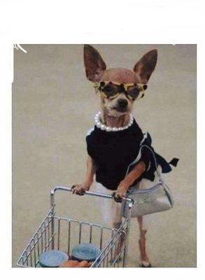 photo of FwyRoses F.