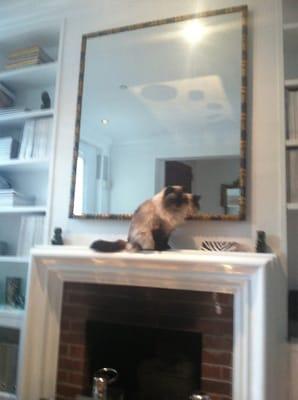 Photo of Xerxes P.