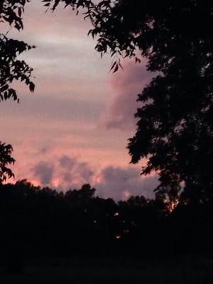 photo of Ashleigh L.