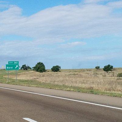 photo of Jennifer L.