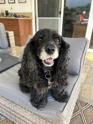 Photo of Elizabeth P.