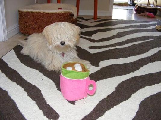 photo of Jennifer S.