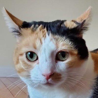 photo of Michelle S.