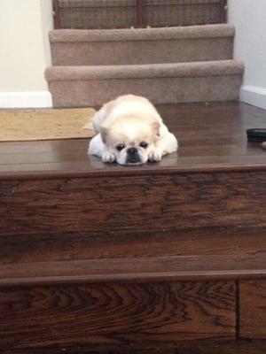 photo of Francesca T.