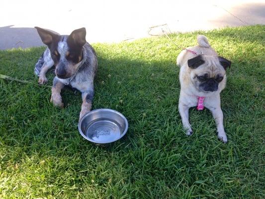 photo of Citadell J.