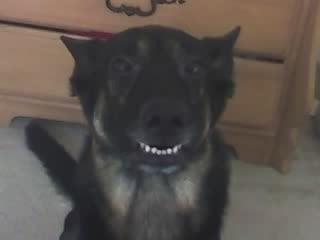 Photo of Foodie C.