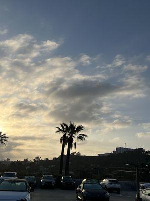 photo of Jonathan M.