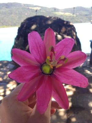 photo of Jennifer A.