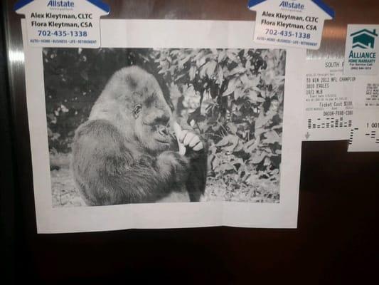 photo of Jonathan S.