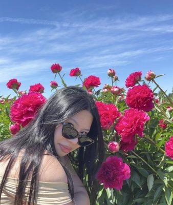 Photo of Meggie T.