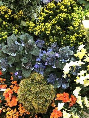 photo of George IV C.