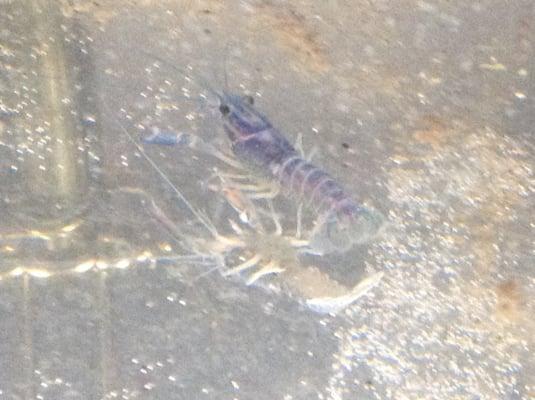 photo of Wei Ming D.