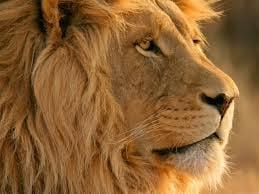 photo of MacGregor M.