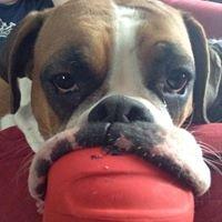 photo of Samantha P.