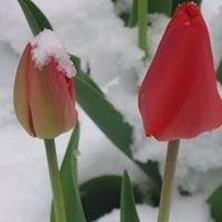 photo of Georgette C.