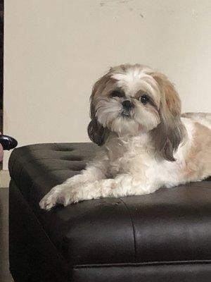 Photo of Brooke Anne W.