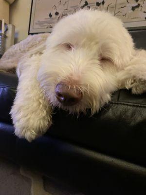 Photo of Andy T.