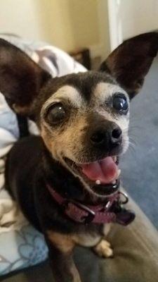 photo of Stephanie R.