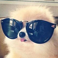 Photo of Stephanie R.