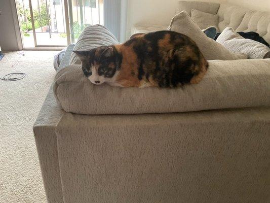 photo of Aliciana M.