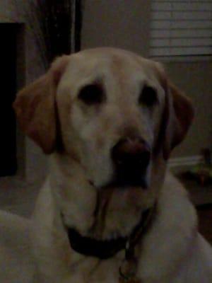 Photo of Margeaux S.