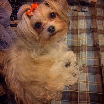 photo of Jennifer Y.