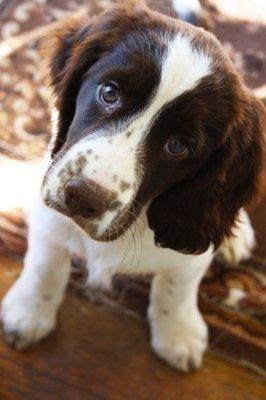 photo of Harley S.