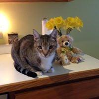 photo of Laura A. D.