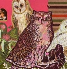 photo of Jessalyn A.