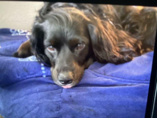 photo of Kimberly M.