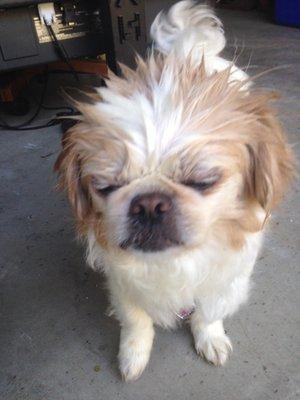 photo of Thepurps T.