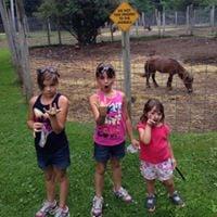 Photo of Christopher K.