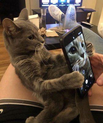 photo of Elizabeth T.